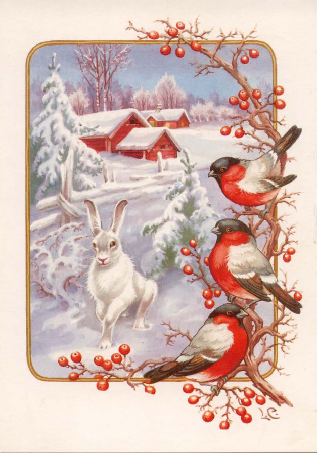 открытка - зима, зайцы, природа, заяц, открытки, животные, зайчики - оригинал