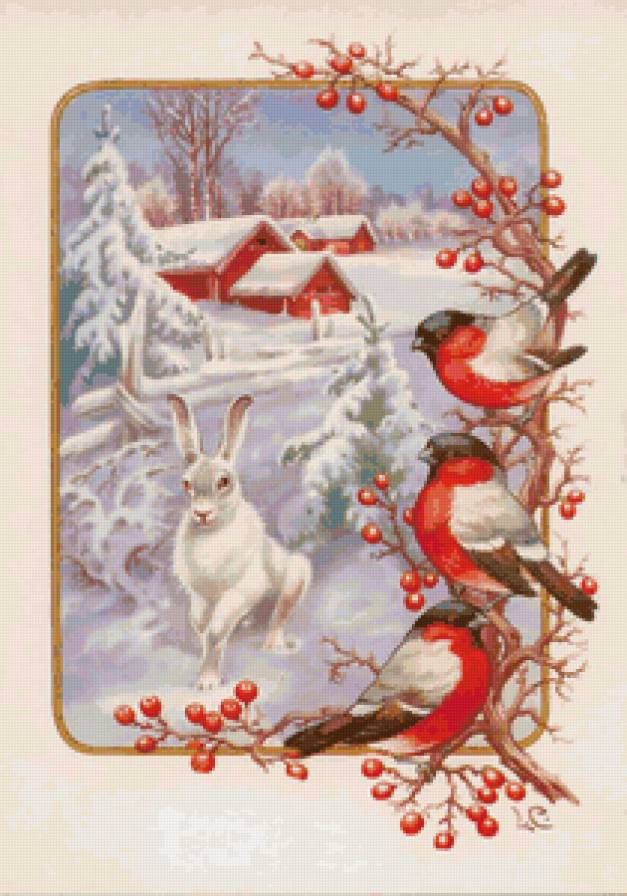 открытка - зайчики, зайцы, открытки, заяц, природа, животные, зима - предпросмотр
