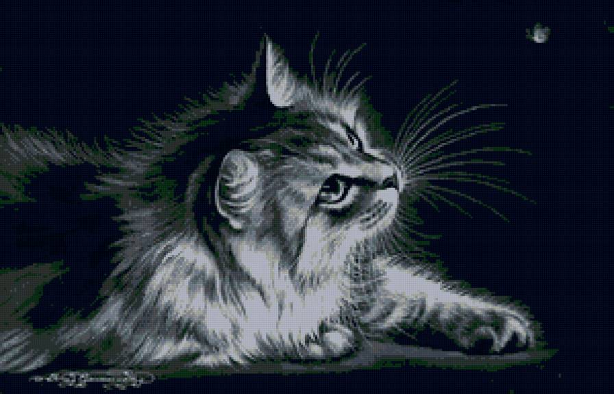 котик - картина, животные, черно-белое, кошечки, кошки - предпросмотр