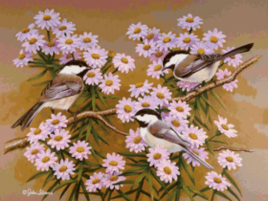 птички - птицы, весна, картина - предпросмотр
