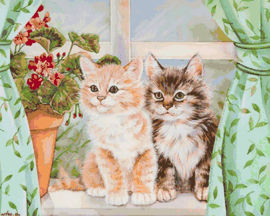 Милые котята - животные, котята, окно, дом - предпросмотр