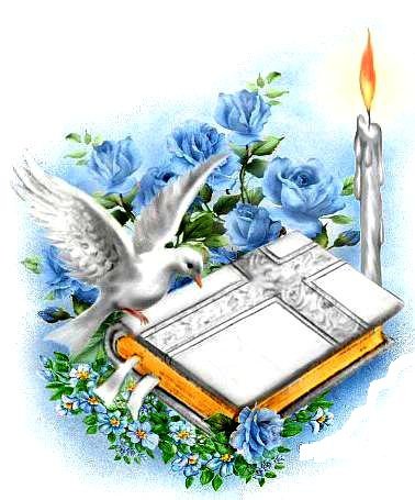 Святое письмо - птица, религия, цветы, голубь, библия, розы, свеча - оригинал