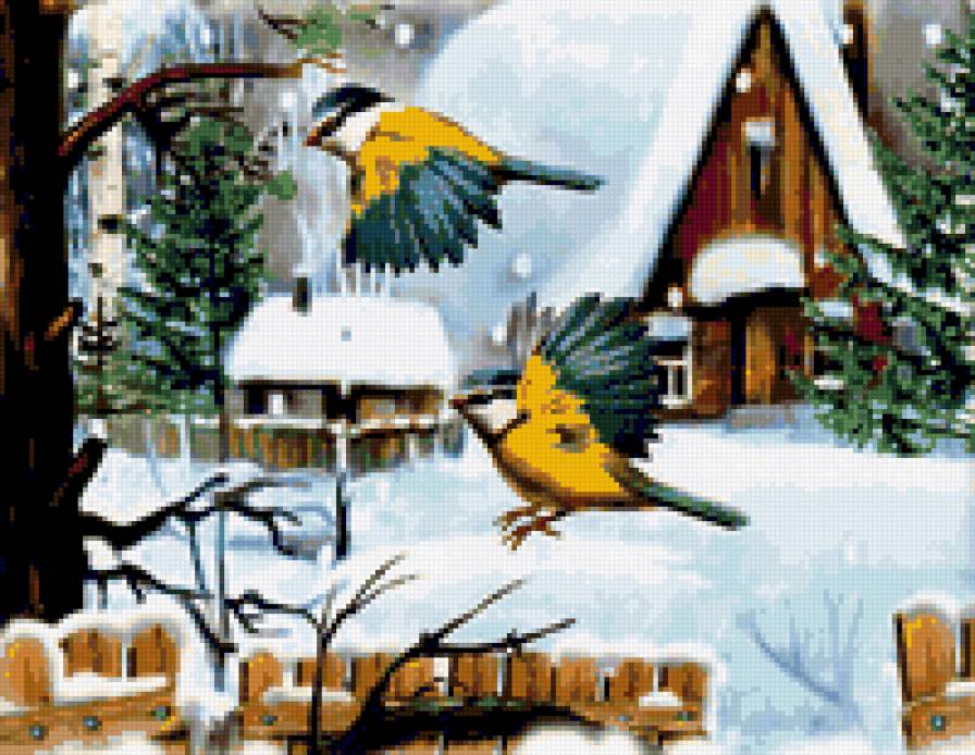 синички - природа, синичка, зима, пушистые птички, синички, птичка - предпросмотр