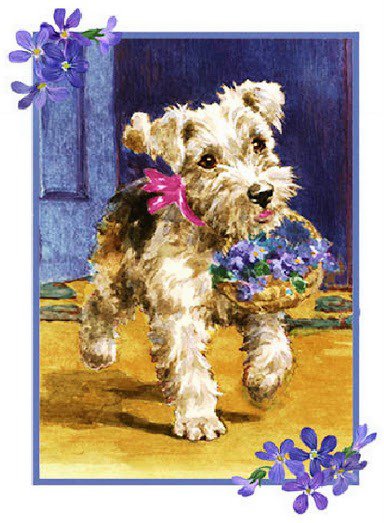собака с фиалками - фиалка, собаки, цветы, фиалки, собачка, животные, щенок, собака - оригинал