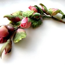 Оригинал схемы вышивки «розы» (№57043)