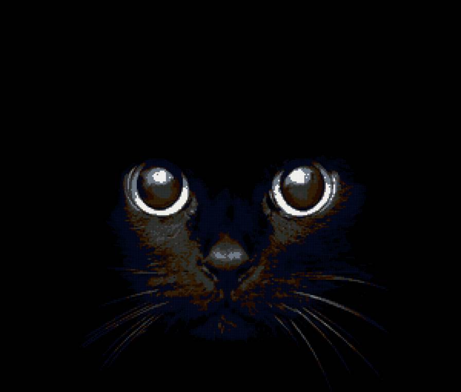 кошачьи глаза - кошка - предпросмотр