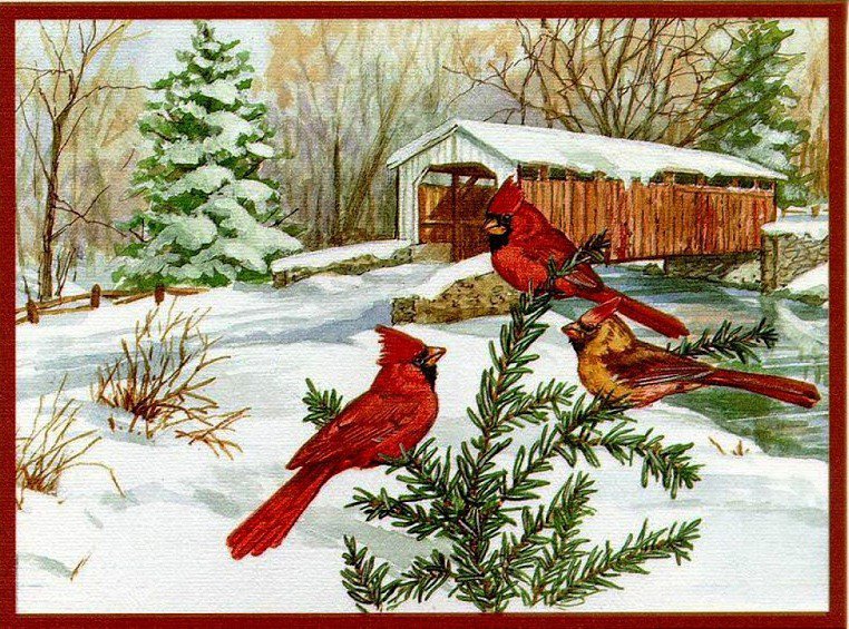 Рождество - елка, кардиналы, рождество, зима, праздник, лес, птицы, природа - оригинал