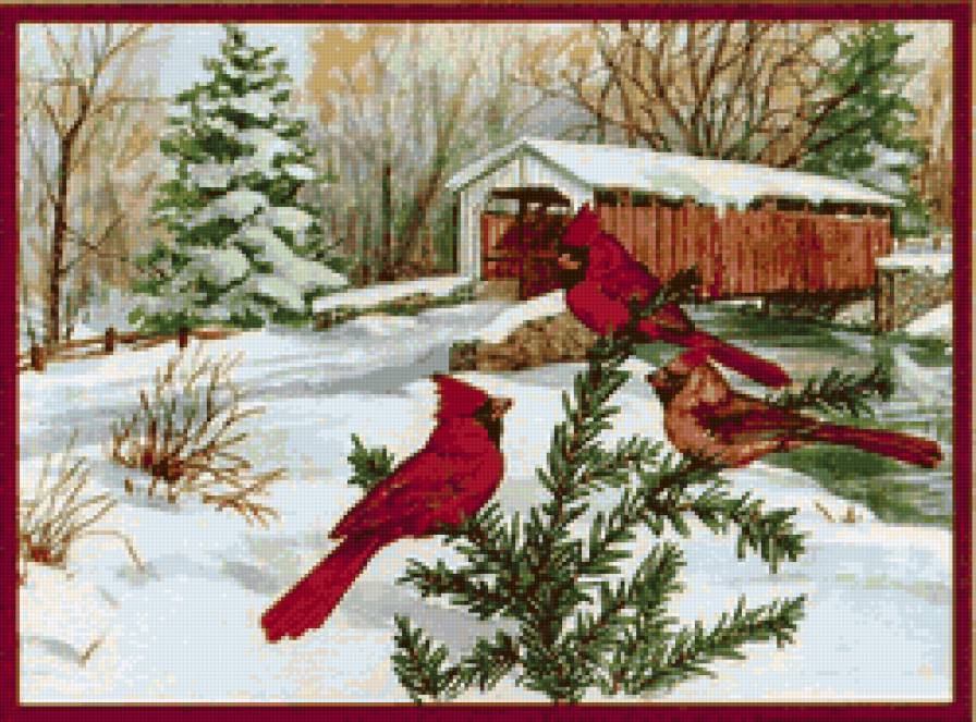 Рождество - птицы, лес, кардиналы, елка, зима, праздник, природа, рождество - предпросмотр