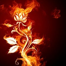 Оригинал схемы вышивки «огненый цветок» (№57300)