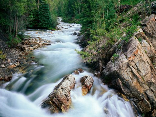 Горная река в лесу штата Колорадо - оригинал