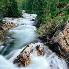 Горная река в лесу штата Колорадо