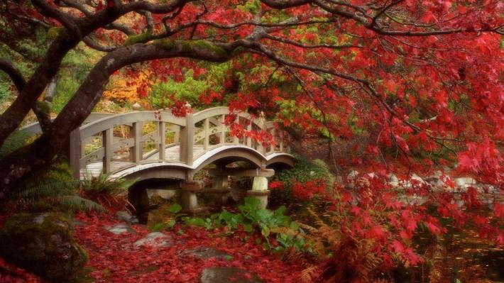 Осень1 - мост, осень - оригинал