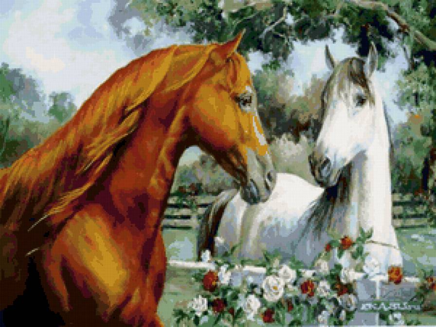Лошади - лошади, пара, любовь - предпросмотр