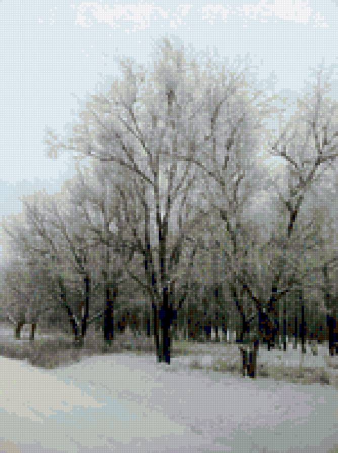 Зима - деревья, зимний лес, пейзаж, зима, лес, дорога, зимняя дорога - предпросмотр
