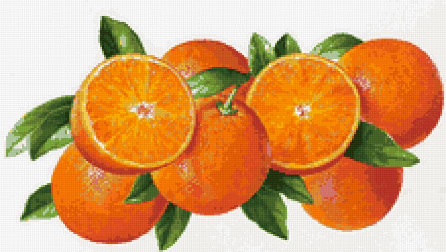Апельсины - апельсин, ветка, фрукт - предпросмотр