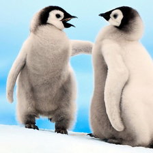 Пингвинята)
