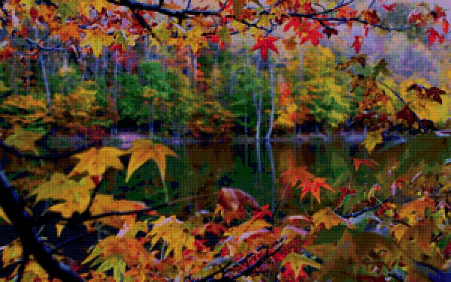 осень - пейзаж, времена года, деревья, листья, осень - предпросмотр