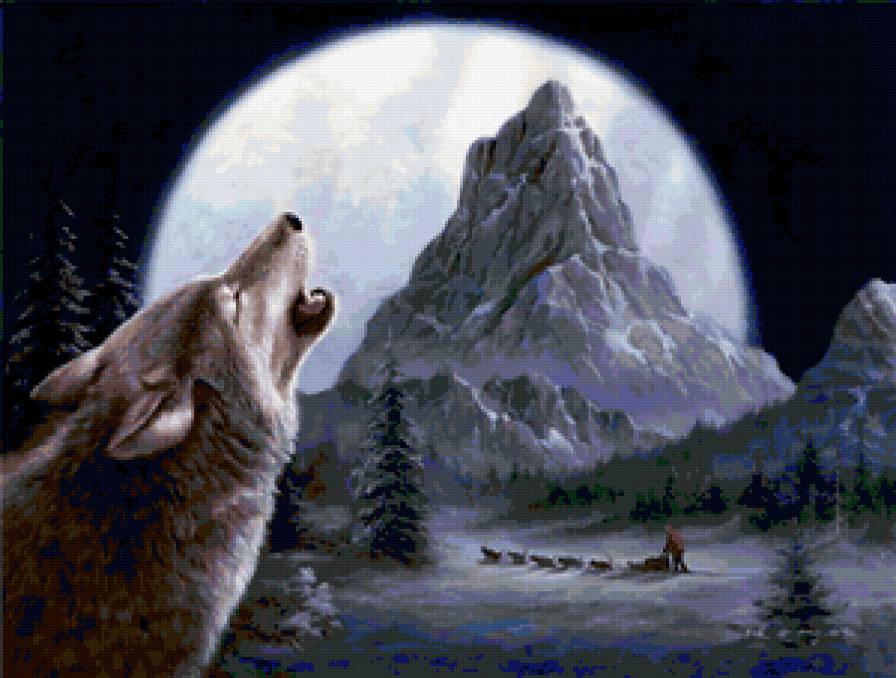 волк - волки, хищники, животные, зима, природа - предпросмотр