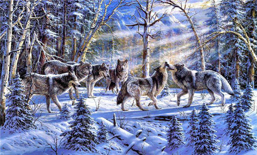 любовь - зима, картина, волки, хищники, животные, стая, лес - оригинал