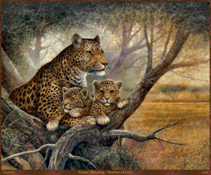 леопарды - хищники, лео, леопард, животные, природа, кошки - предпросмотр
