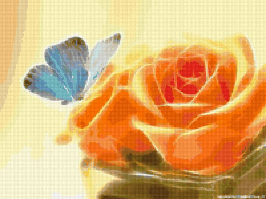 розы - розы, цветы, бабочка - предпросмотр