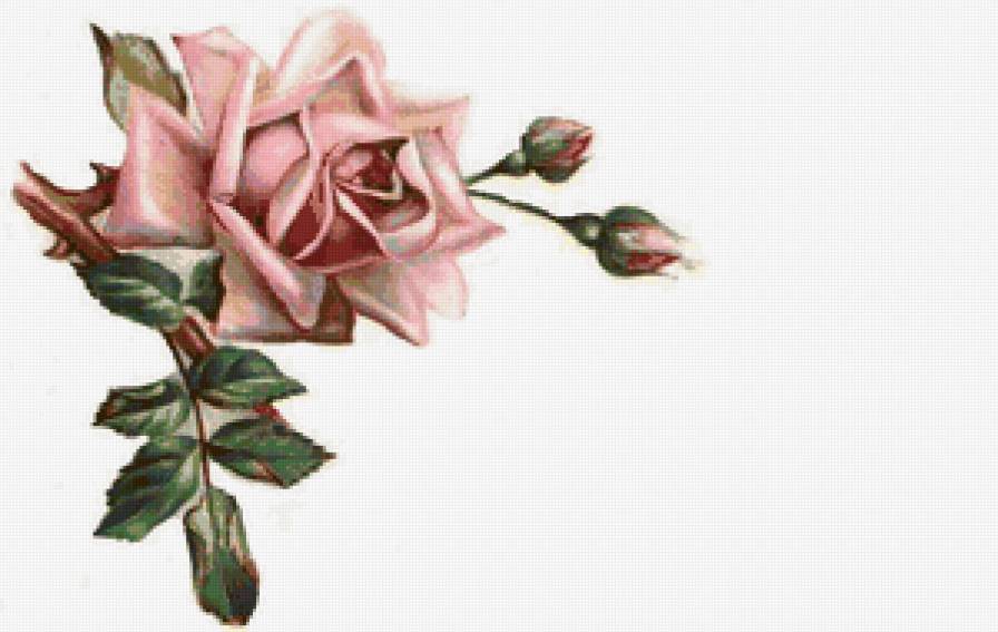 Роза - салфетка, цветы, скатерть - предпросмотр