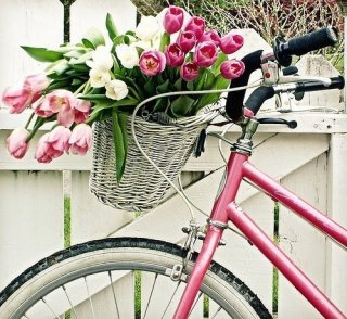cvety na velosipede - cvety, priroda, krasota - оригинал