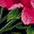 Предпросмотр схемы вышивки «Салфетка с розами» (№59490)