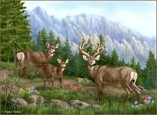 олени - картина, природа, олень, животные - оригинал