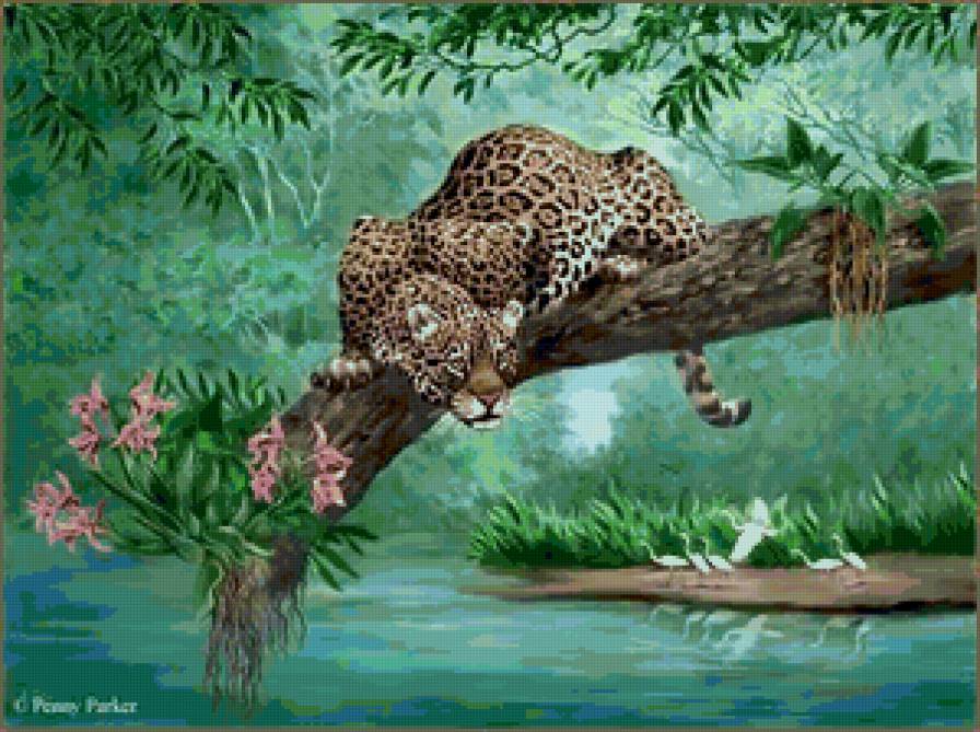 леопард - лео, кошки, животные, леопарды, хищники, картина, природа - предпросмотр