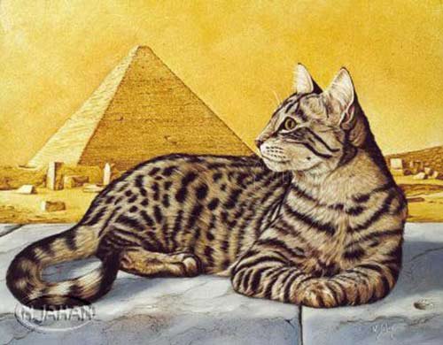кошка - кошечки, картина, египет, кошки, кошечка, котики - оригинал