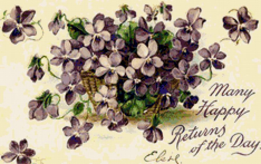 Нежные фиалки - violets, фиалки, ретро, букет, весна, фиалка, цветы - предпросмотр