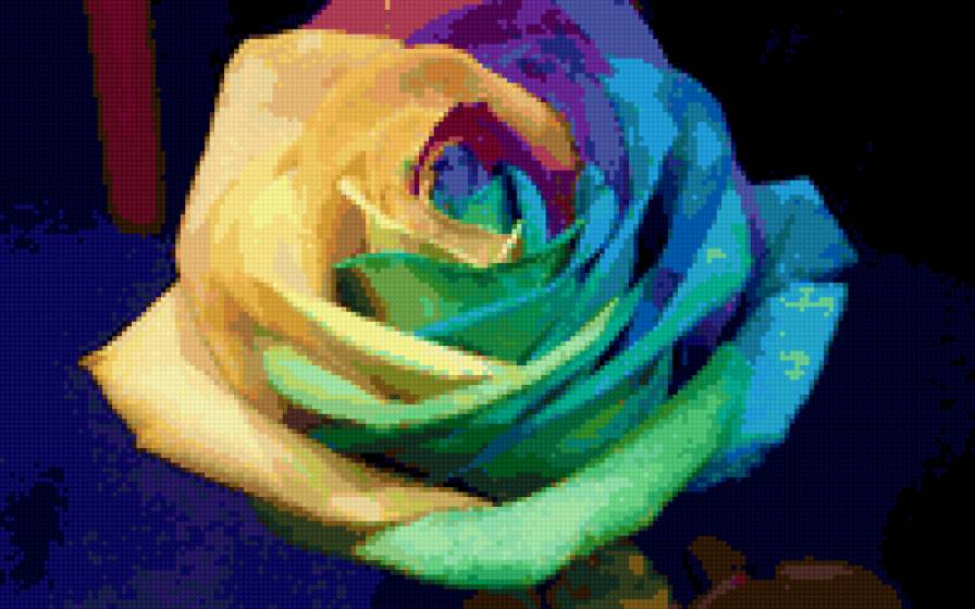 Необычная роза2 - красота, роза - предпросмотр