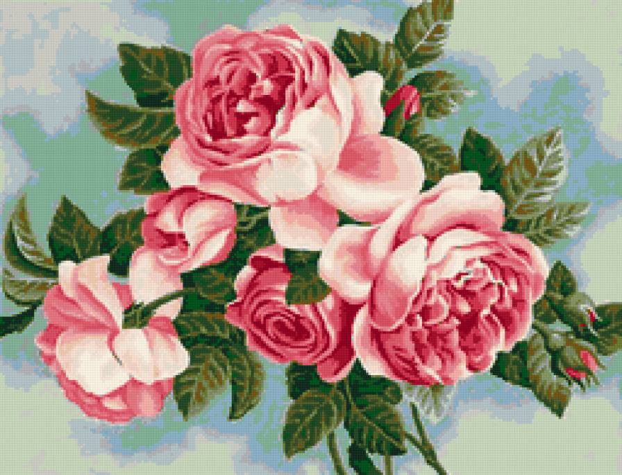 розы - розы, роза, розочки, цветок, душистые розы, флора, цветы - предпросмотр