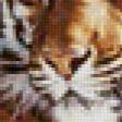 Предпросмотр схемы вышивки «Тигр» (№60012)