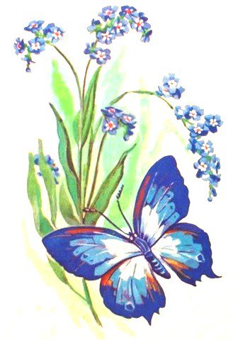 Бабочка и незабудки - цветы и бабочки, незабудки, цветы, бабочка, подушка, незабудка - оригинал