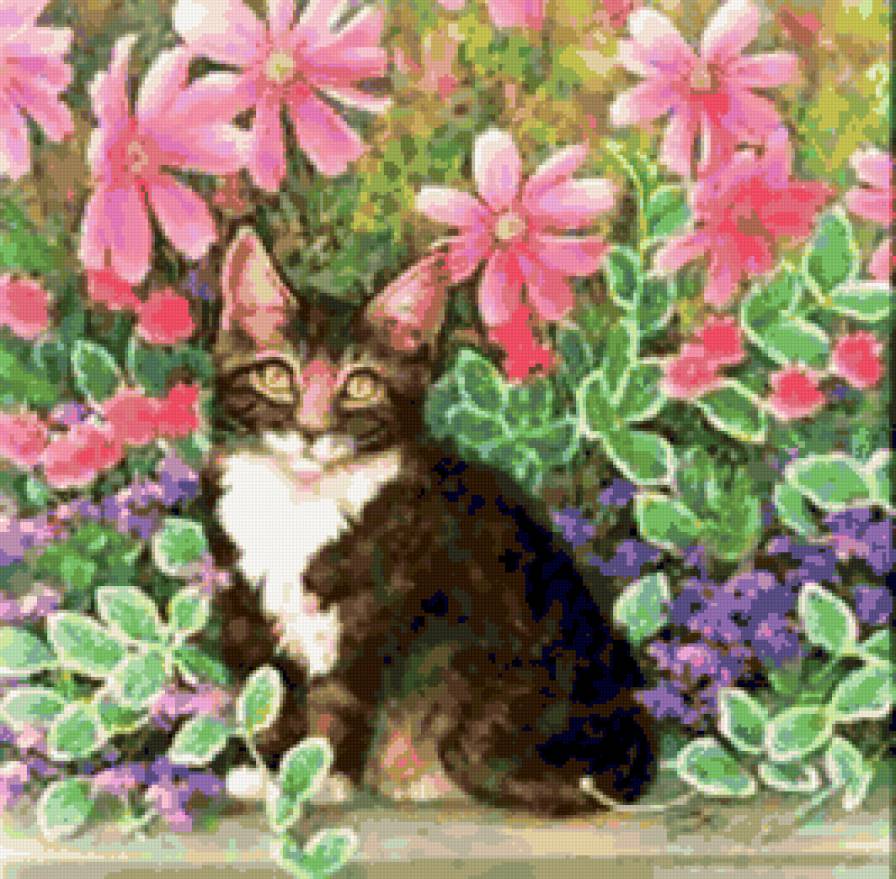 Кошки в цветах - цветы, кошки, животные, природа, кошка, кошки в цветах - предпросмотр