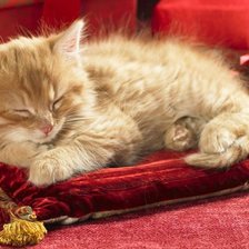Схема вышивки «Котёнок дремлет на подушке»