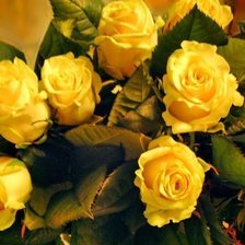 Оригинал схемы вышивки «Желтые розы» (№60569)