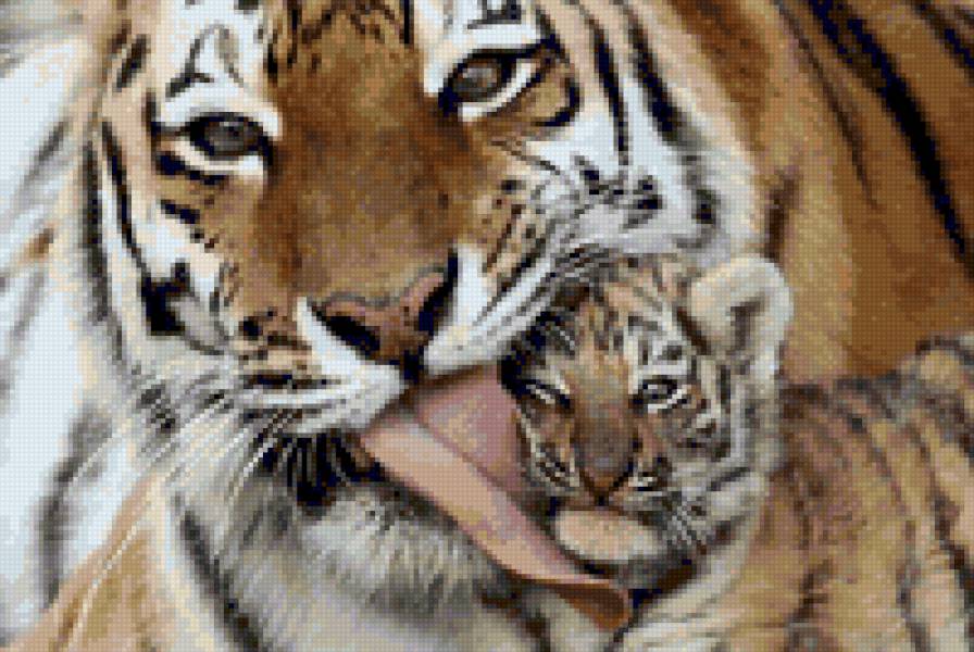 Тигрица с тигренком - тигры - предпросмотр