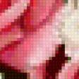 Предпросмотр схемы вышивки «розовый букет» (№60846)