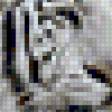 Предпросмотр схемы вышивки «Белые тигры» (№60850)
