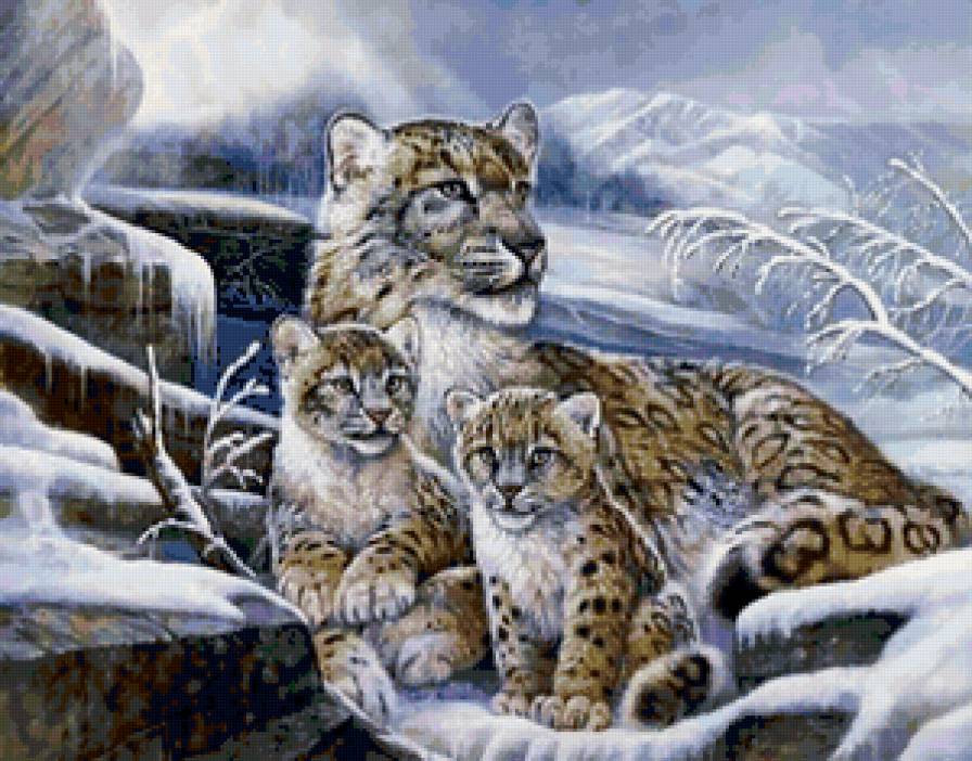 леопарды - зима, лео, кошки, хищники, леопард, животные, картина - предпросмотр