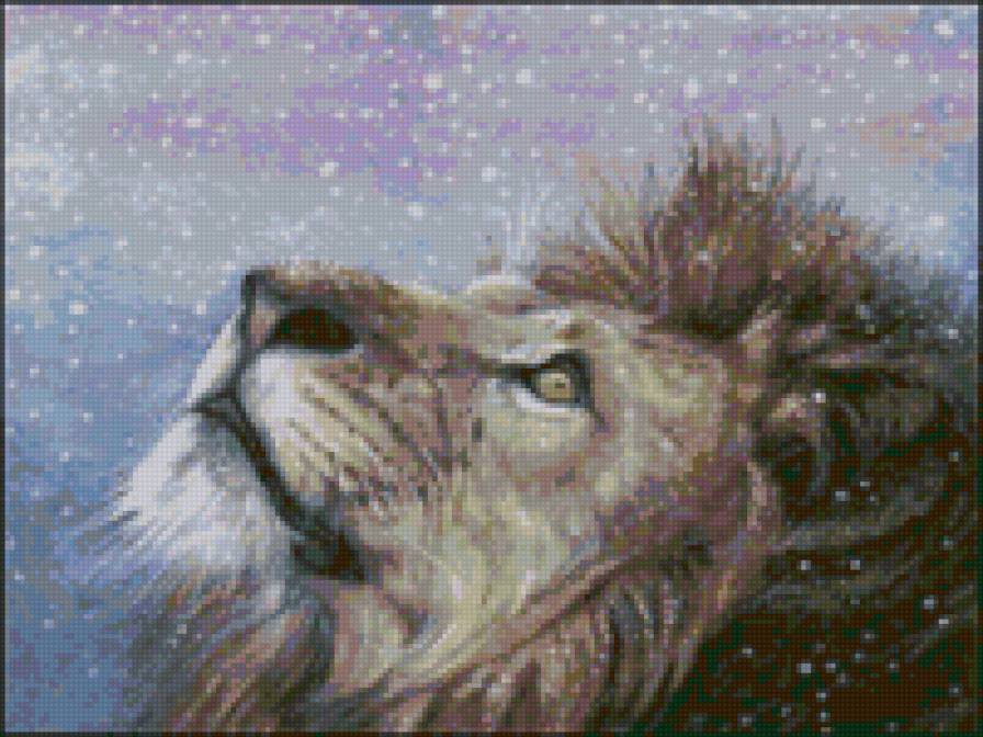 Лев и первый снег - животные, снег, лев, зима, хищник - предпросмотр