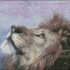 Лев и первый снег