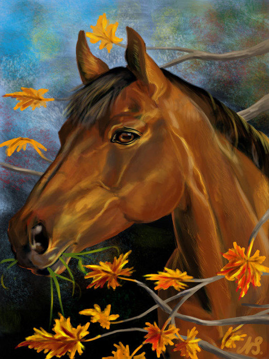 лошадка - картина, кони, животные, лошади, лошадки - оригинал