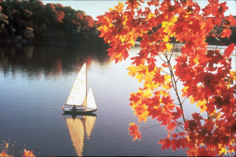 парус - осень, лодка, вода - оригинал