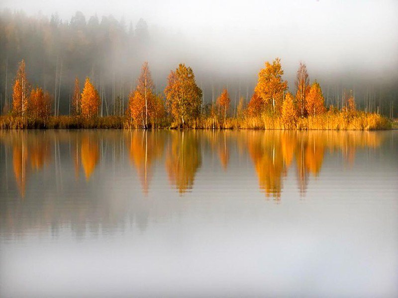 Туманы осени - осень, туман, отражения, природа, озеро, пейзаж - оригинал