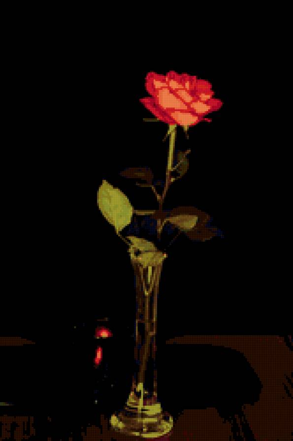 №62430 - розы, натюрморт, роза, цветок, цветы - предпросмотр