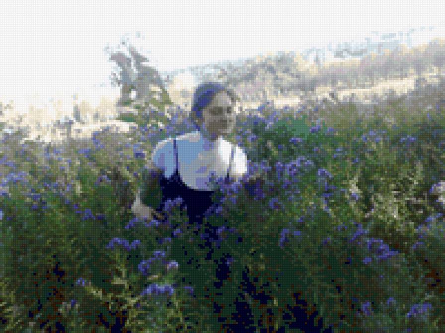 girl and blue flowers - girl, flowers - предпросмотр